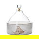 Al Saif Gallery porcelain tamria with clear acrylic cover, 13 x 13 x 5 cm, bird pattern, circular - white product image 1