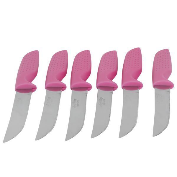 Al Saif Gallery Steel Knife Set, 6 Pieces - Pink product image 1