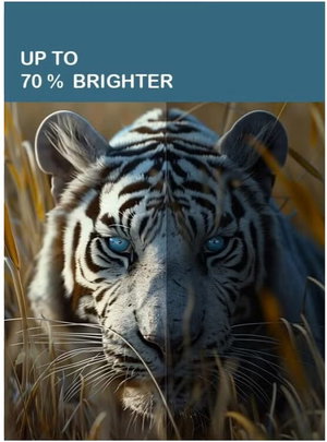تلفزيون سمارت بدون اطار سرين، 65 بوصة، 4K UHD، شاشة QLED، نظام ويب او اس، ريموت ماجيك، SRET-65S4KWQ1 - اسود product image 2