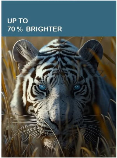 تلفزيون سمارت بدون اطار سرين، 65 بوصة، 4K UHD، شاشة QLED، نظام ويب او اس، ريموت ماجيك، SRET-65S4KWQ1 - اسود product image 2