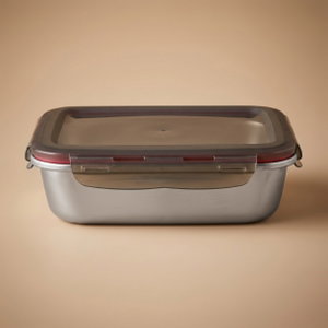 علبة تخزين ستانلس استيل الصحاح، 26x19x7.3 سم، غطاء بلاستيك، قفل - فضي أسود شفاف product image