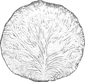 صحن تقديم زجاج السيف غاليري، 19 سم، دائري، مسطح - شفاف product image