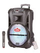 مكبر صوت لاسلكي، بلوتوث، 15 بوصة، NTROY15602 - اسود product image 2