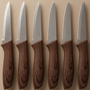 Al Saif Gallery Stainless Steel Serrated Knife Set, 6 Pieces - Brown product image