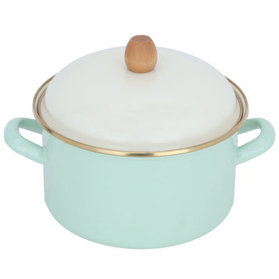 قدر استيل السيف غاليري، 20 سم، حافة ذهبي - أخضر فاتح product image 2