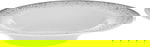 طقم سفرة بورسلان السيف غاليري، 24 قطعة، شكل دائري بحافة رمادي - ابيض رمادي product image 3