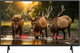 تلفزيون سمارت بدون اطار سرين، 40 بوصة، FHD، شاشة LED، نظام اندرويد 15، SRET-40S1 - اسود product image 1