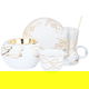 AlSeif Gallery 25-Piece Porcelain Glass Cup and Saucer Set with Incense Burner - White Gold product image 1