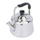 Al Saif Gallery Cosmo Steel Geek, 2 Liters - Silver product image 2