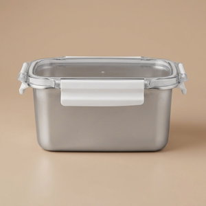 علبة تخزين ستانلس استيل الصحاح، 19x12x10 سم، غطاء بلاستيك، قفل - فضي شفاف product image