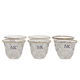 Al Saif Gallery Glass Cups Set, 6 Pieces - Clear product image 2