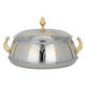 Maglite Steel Food Container, 3 Liters - Gold silver product image 1