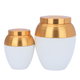 Al Saif Gallery Porcelain Spice Boxes Set, 8 Pieces - White Golden product image 3