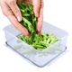 حافظة طعام بلاستيك السيف غاليري، 4300 مل، مستطيل - شفاف product image 5