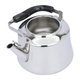 Al Saif Gallery Cosmo Steel Geek, 2 Liters - Silver product image 4