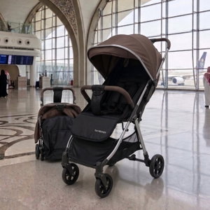 Fun Moment Baby Stroller, Foldable, Storage Basket, Safety Harness - Brown/Black product image