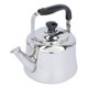 Al Saif Cosmo Steel Jug, 4 Liter - Silver product image 4