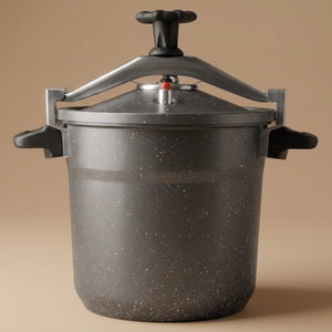 قدر ضغط العاصوف جرانيت السيف غاليري، 10 لتر، ايدي جانبية - رمادي product image
