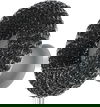 فرشاة غسيل أواني بلاستيك السيف غاليري، 2 قطعة - رمادي product image 6
