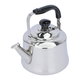 Al Saif Cosmo Steel Jug, 3 Liter - Silver product image 2