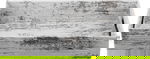 صينية تقديم بلاستيك السيف غاليري، 29x17x5 سم - ابيض product image 1