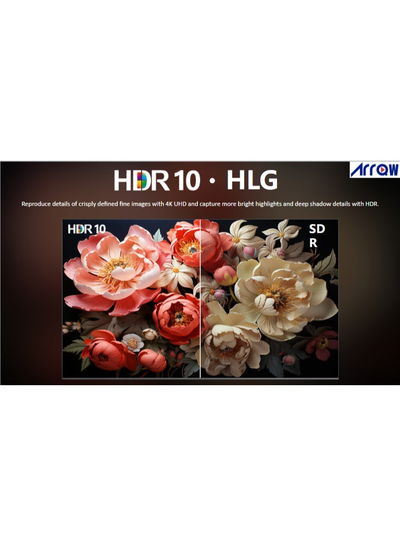 ARRQW RO-75LCQ120 75-inch Frameless Smart TV, QLED, 4K UHD, Google TV System - Black product image 5