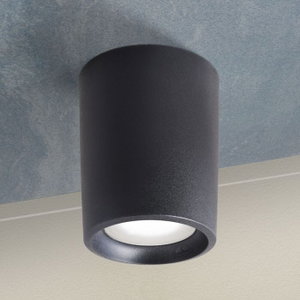 Foamagali Resin Plastic Ceiling Light, GX35 Base, 14x20 cm - Black product image