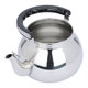 ابريق هرموني استيل السيف غاليري، 5 لتر - فضي product image 2
