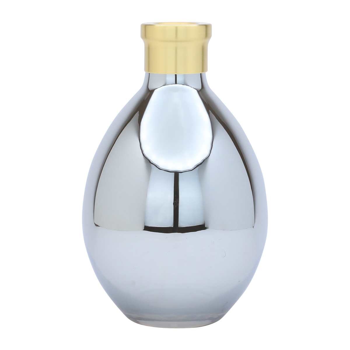 فازة زجاج رواد العائلة، 6×25 سم - فضي ذهبي product image 1