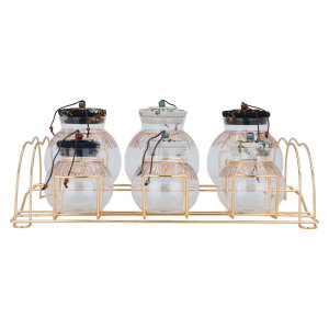 طقم علب بهارات زجاج السيف غاليري، بستاند ذهبي، 7 قطع - ملون product image 2
