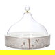 Al Saif Gallery Porcelain Tamariya, 21.5X21.5X5 Cm - White product image 1