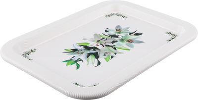 طوفرية ايفوري بلاستيك سيف بلص، 60x45x3 سم - بيج product image 2