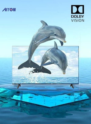 Arrow RO-65LPWQ 50-inch Frameless Smart TV, 4K UHD, QLED, WebOS System - Black product image 2