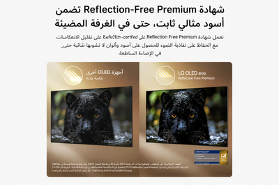 تلفزيون سمارت ال جي، 65 بوصة، 4K، OLED، نظام ويب اوس، OLED65G66LW - اسود product image 6