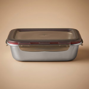 علبة تخزين ستانلس استيل الصحاح، 22x16x7 سم، غطاء بلاستيك، قفل - فضي أسود شفاف product image