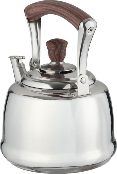 Al Saif Gallery Steel Teapot, Wooden Handle, 5 Liter - Silver product image 2