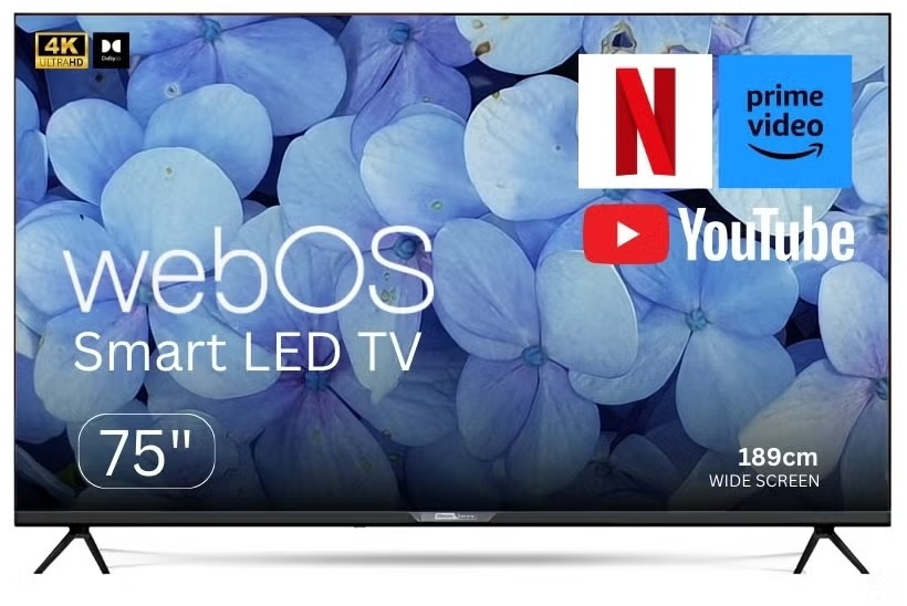 تلفزيون سمارت LED الكترو جنرال، 75 بوصة، UHD 4K، WEB OS، ريموت ماجيك، حامل جداري، TH-75WBS20 - اسود product image