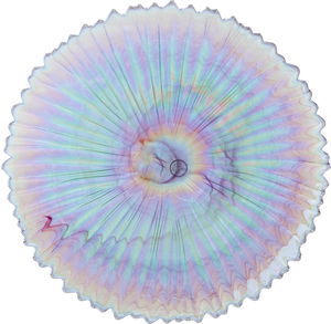 Alsaif Gallery Glass Dessert Serving Platter, 32.5x32.5x2.5 cm - Clear Blue product image