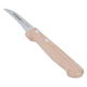 Al Saif Gallery Steel Paring Knife, 7 cm, Wooden Handle - Silver product image 1