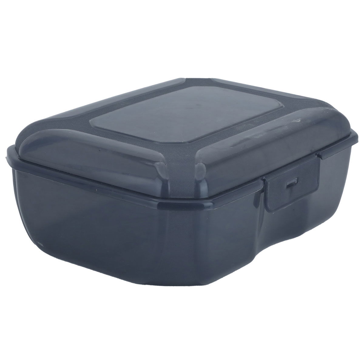 Proof Plastic Storage Box, 2 Liter, 22x15x8 cm, Rectangle - Transparent Black product image
