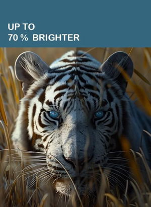 تلفزيون بدون اطار LED سمارت سرين، 75 بوصة، 4K UHD، ويب أو أس، 2 ريموت، SRET-75S4KW2 - اسود product image 3