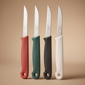 EXCELLENT HOUSEWARE Stainless Steel Knife Set, 16 cm, 4 Pieces - Multicolor product image