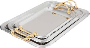 Al Saif Gallery 3-Piece Stainless Steel Toothbrush Set with Gold Handle, Rectangular - Silver product image