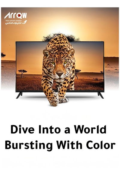 ARRQW RO-32LP 32-inch Frameless LED HD Standard TV with Wall Mount - Black product image 6