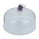 Al Saif Gallery porcelain serving plate, round, cover - transparent product image 2