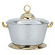 Steel Al Saif Gallery Amira food container, 7.5 litres, with gold-silver handle product image 1