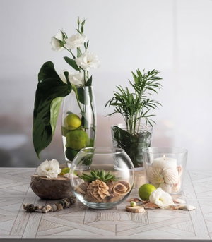 مزهرية زجاج باشاباتشي، 11×11×26 سم - شفاف product image 2