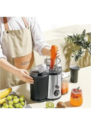 Tefoner TE-2L-BL46 Electric Juicer, 800W, 600ml - Silver Black product image 2