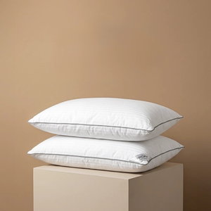 طقم وسادة جنى، 50×75 سم، 2 قطع، بوليستر (بديل الريش) - أبيض product image